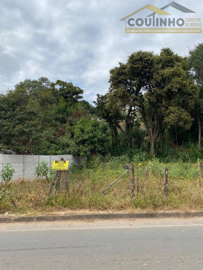 WhatsApp Image 2025-06-09 at 11.19.24.jpeg